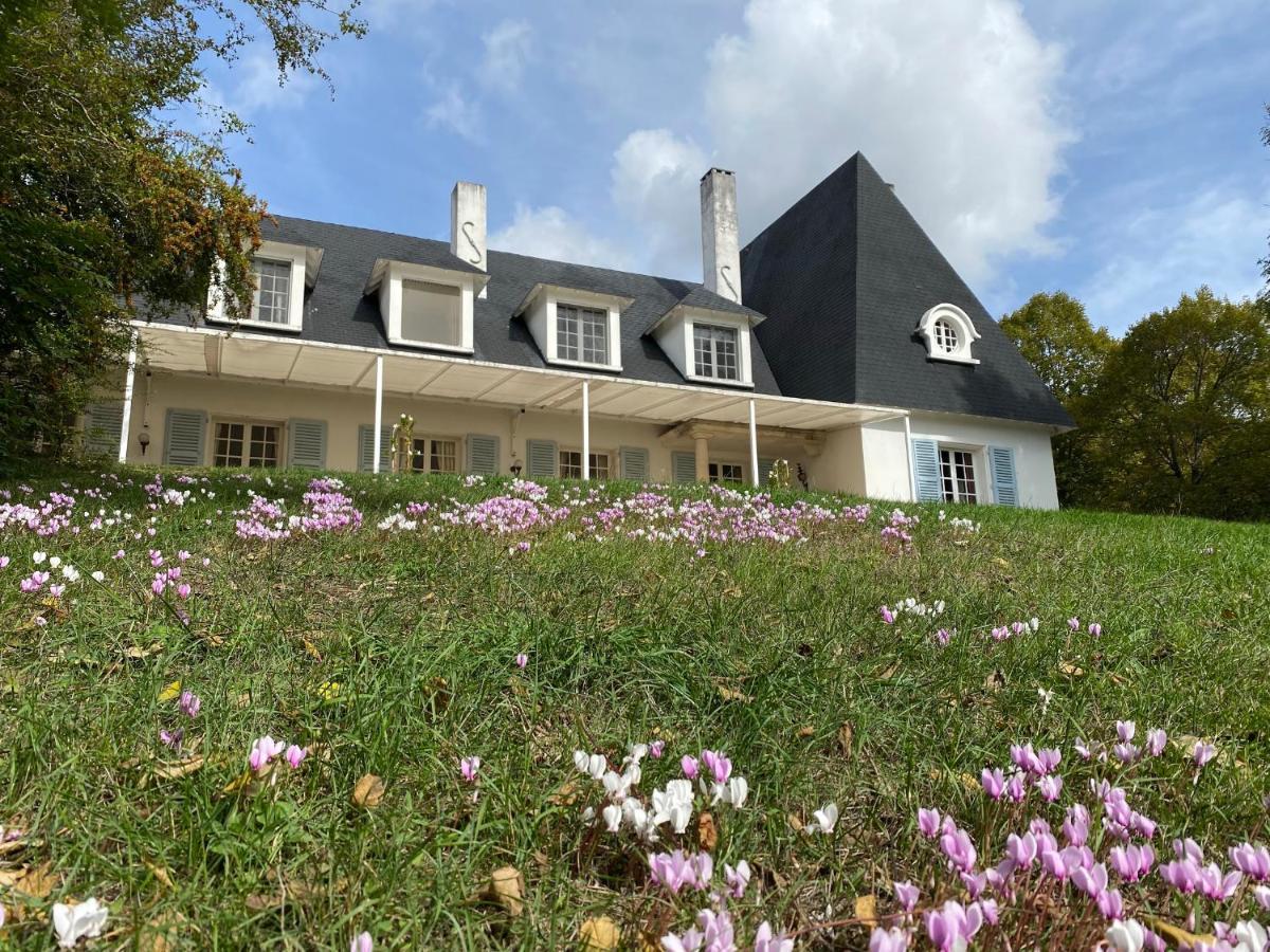 Manoir Et Appartements Avec Piscine Au Domaine De Bize Mirepoix Mirepoix  Exteriér fotografie